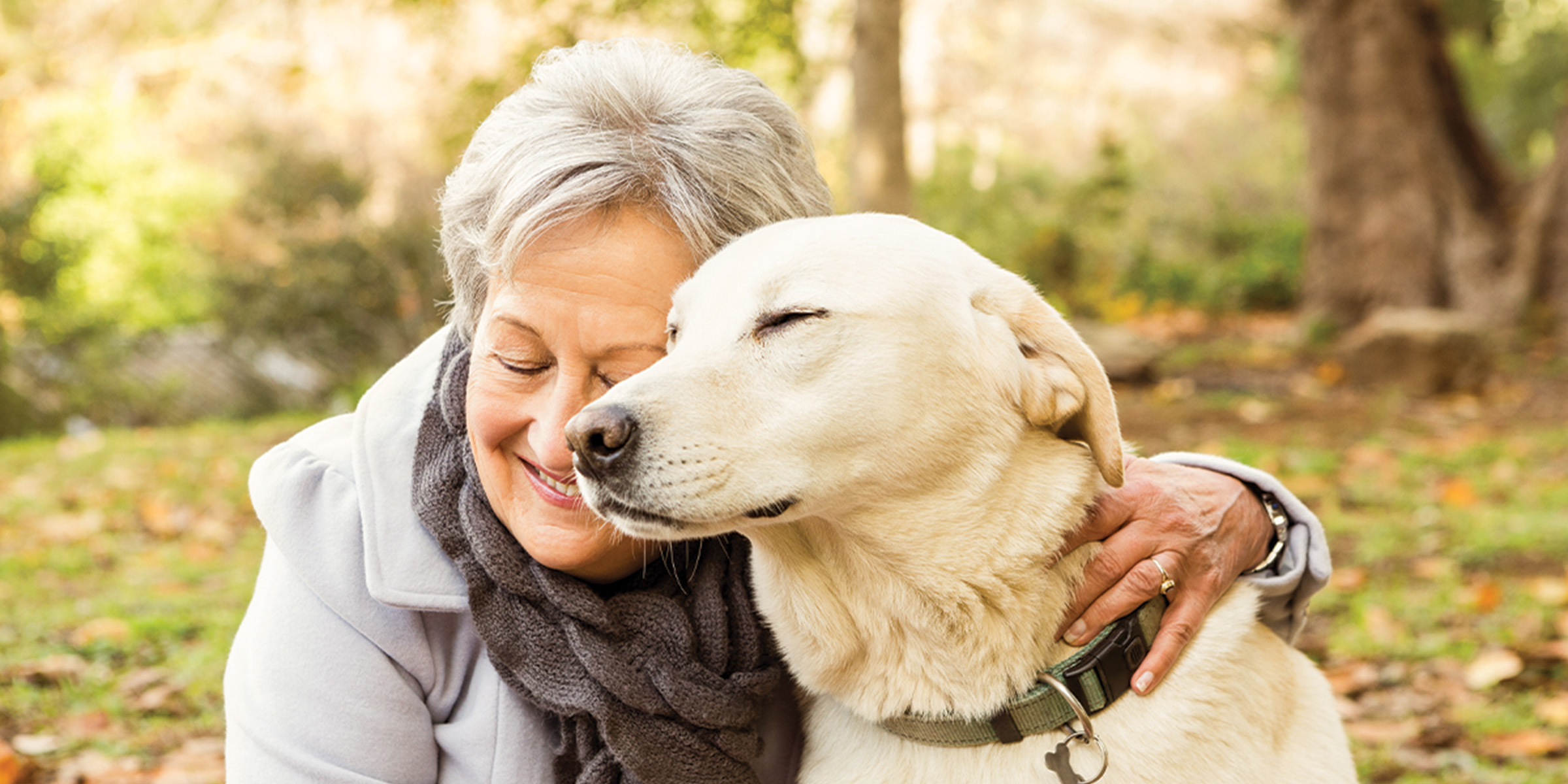 5 Benefits of Pet Therapy for Seniors