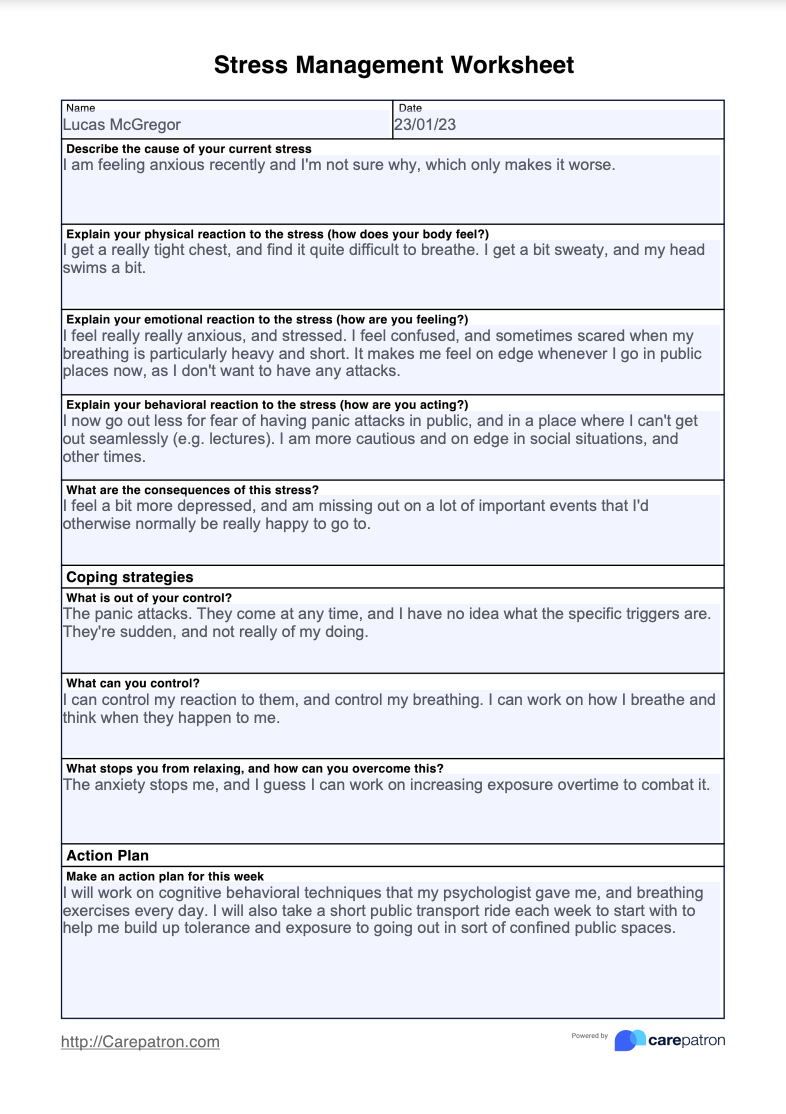 Stress Management Worksheet & Example | Free PDF Download