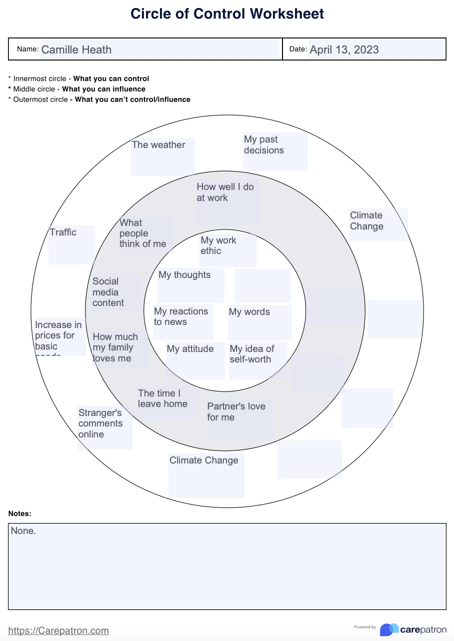 Circle Of Control Worksheet & Example | Free PDF Download