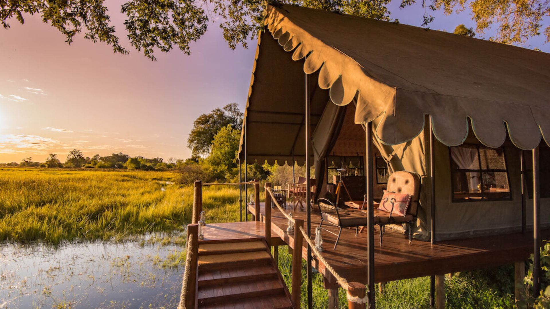 The Explorer Society Why does a safari cost so much?