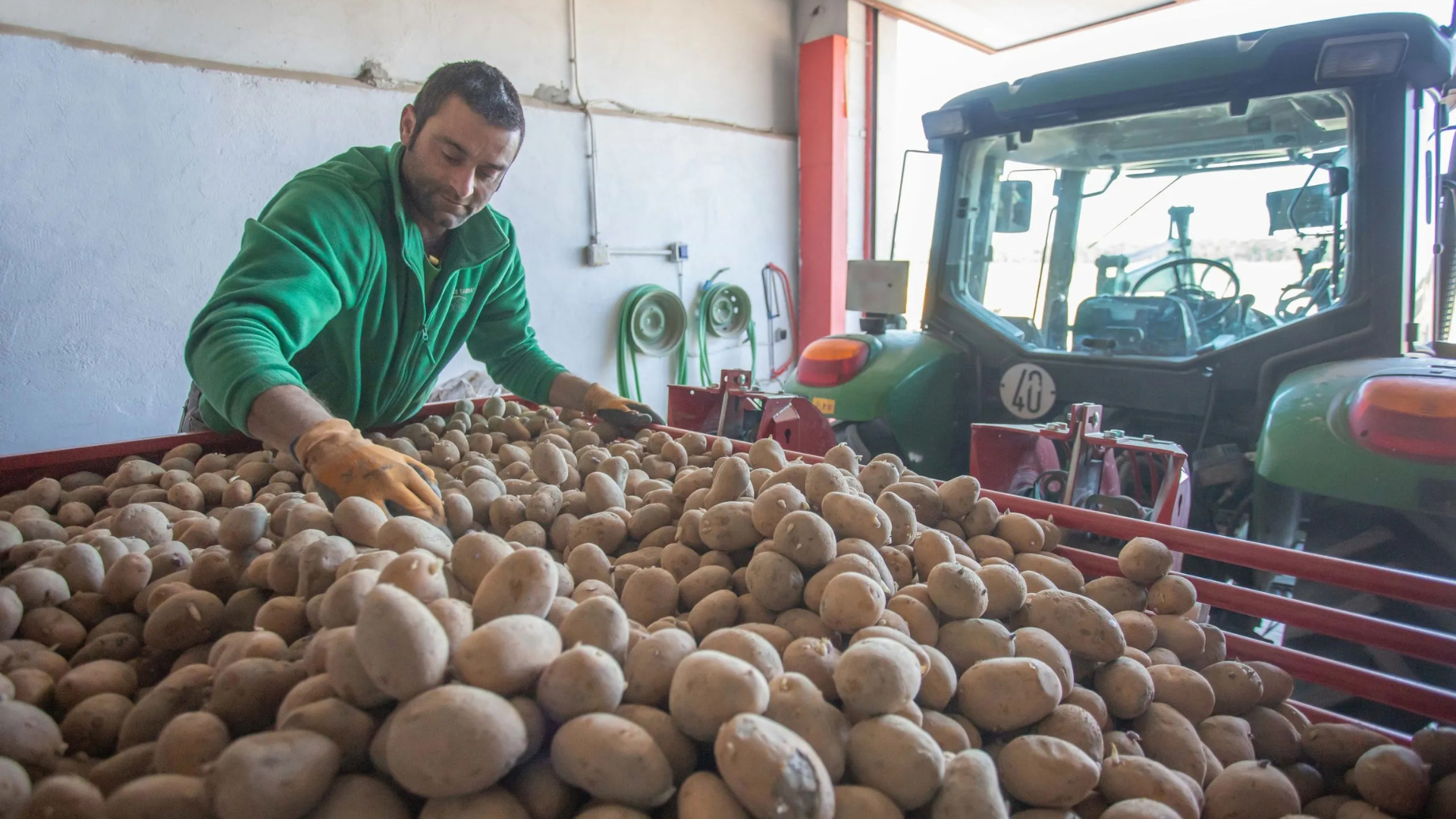 Innovar en el campo a través del cultivo de patatas: Óscar y la agricultura regenerativa - Vivaces