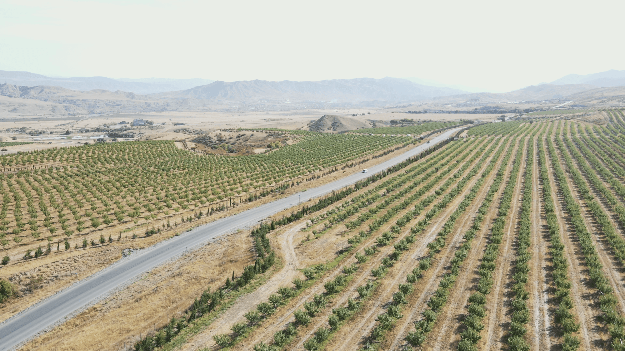 Nuts Incorporated Hazelnuts and Almonds Producers Company