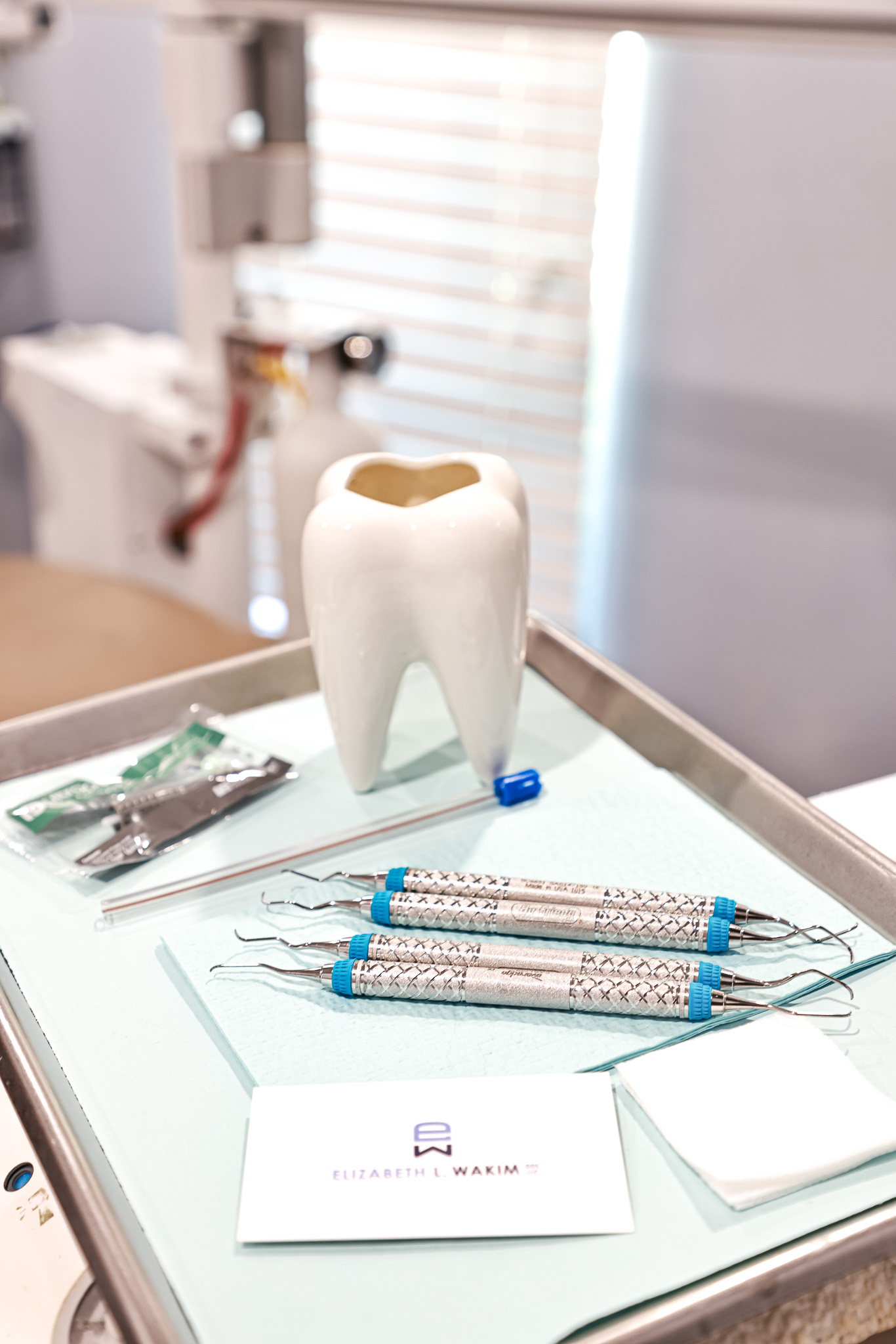 Contact Elizabeth Wakim, DDS 1 Dentist in Washington, PA