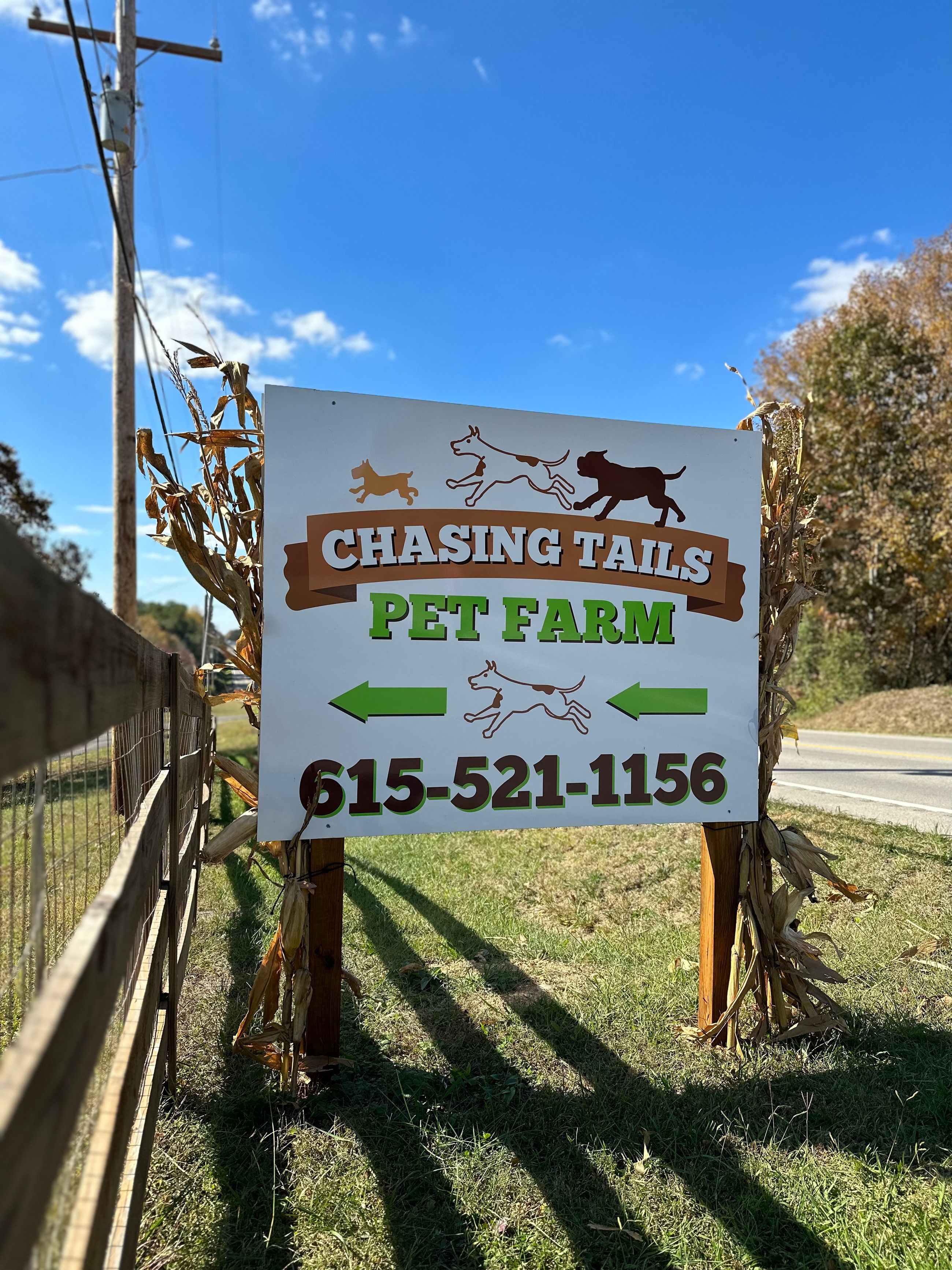 Chasing Tails Pet Farm Contact