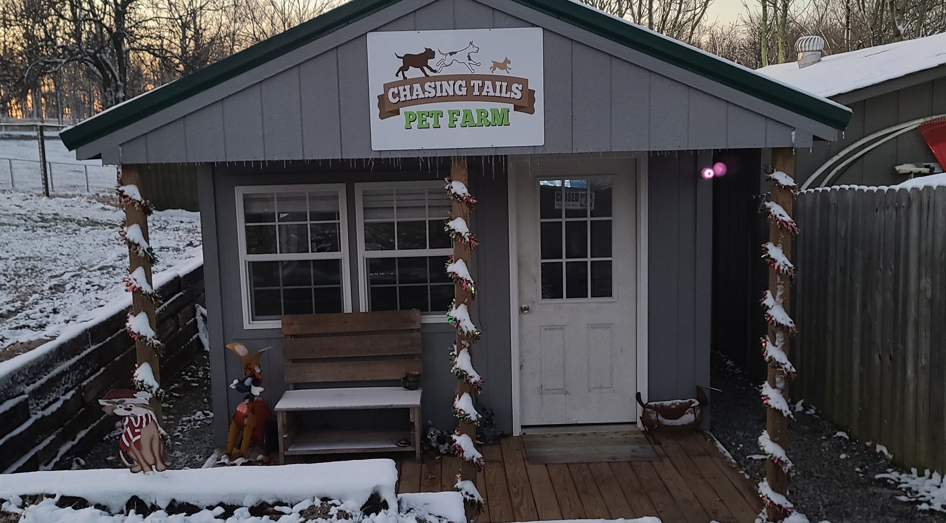 Chasing Tails Pet Farm Contact