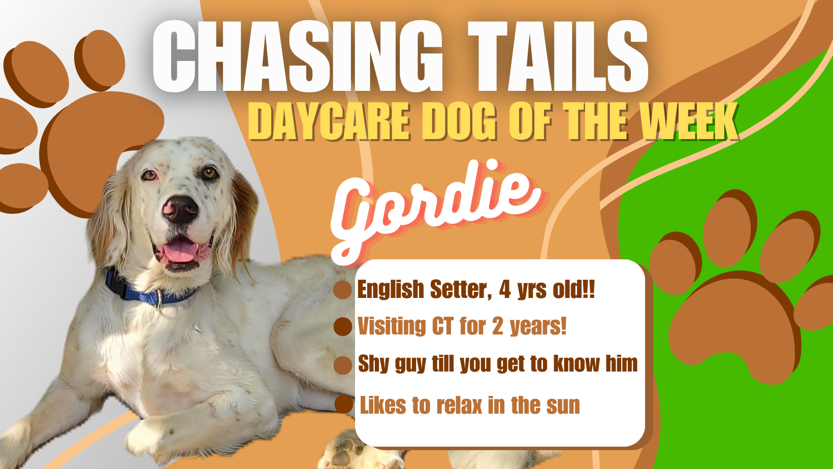 Chasing Tails Pet Farm Home
