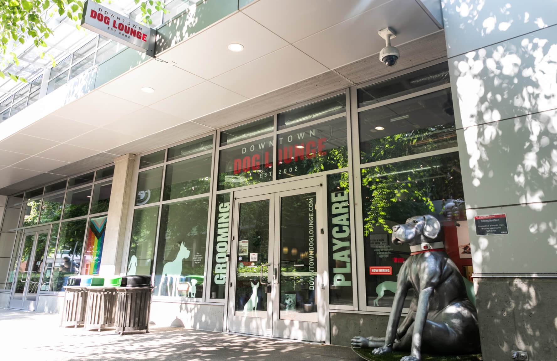 South Lake Union Location Downtown Dog Lounge