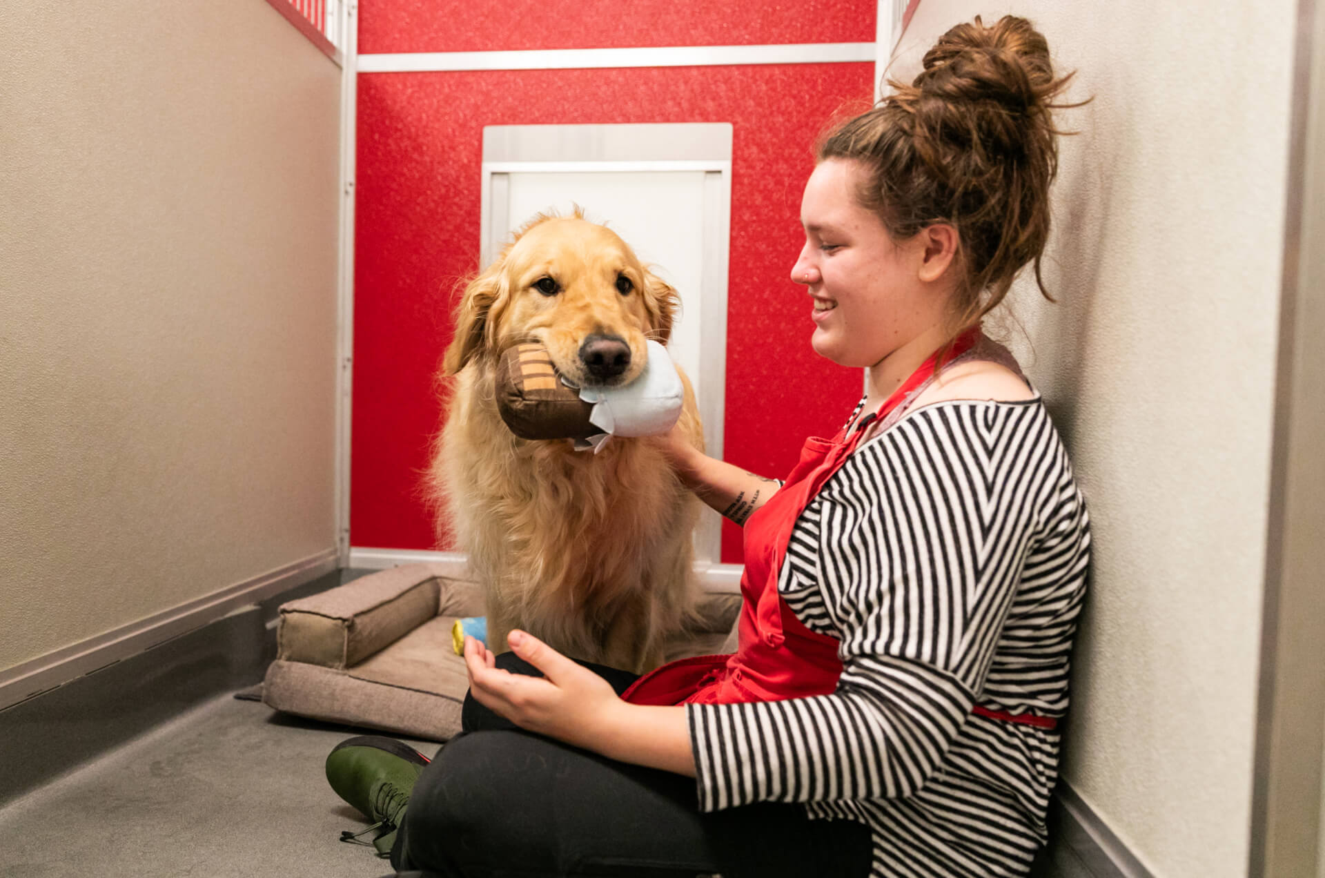 South Lake Union Location Downtown Dog Lounge