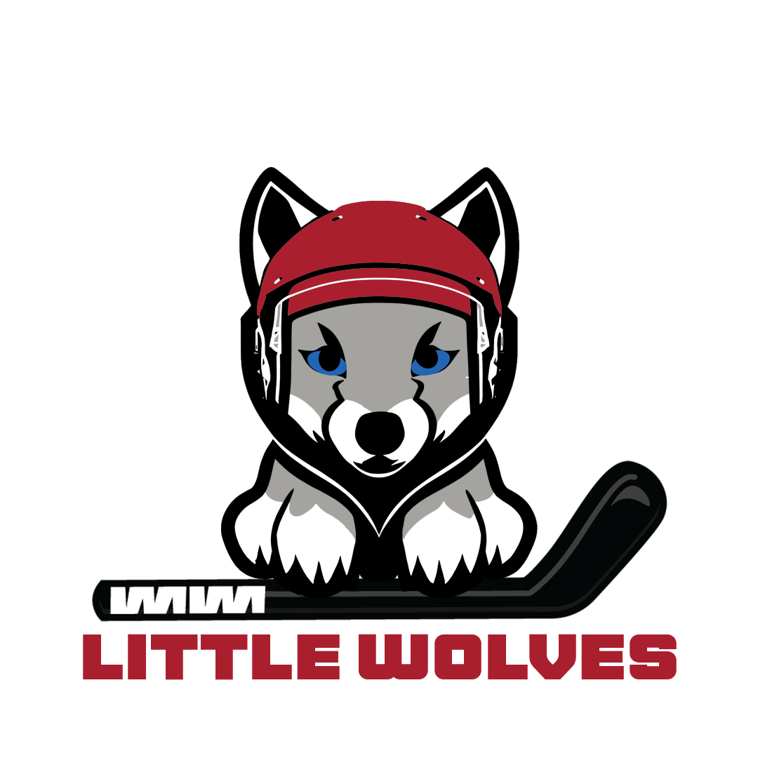 Champions Skating Center - Hockey