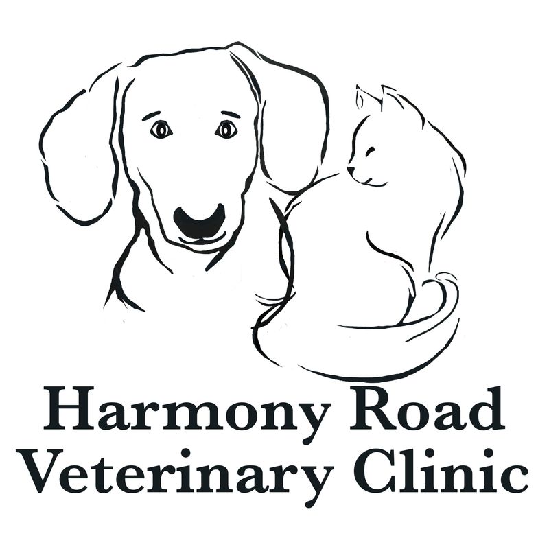 HighQuality Vet Hospital in Fort Collins, CO Harmony Road Veterinary