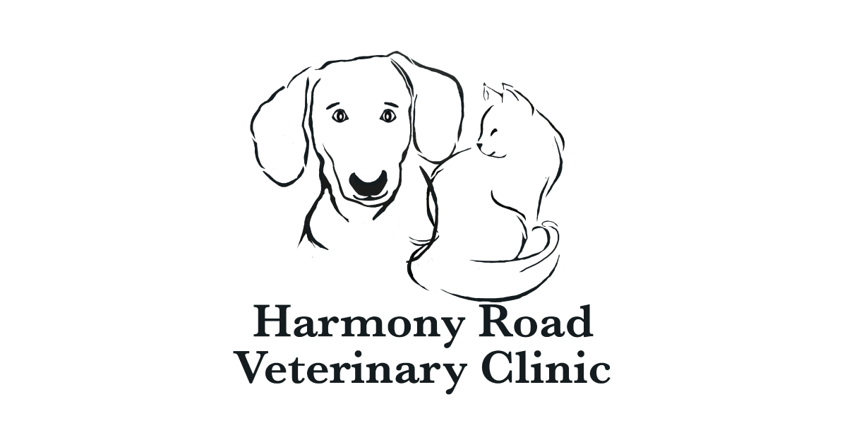 HighQuality Vet Hospital in Fort Collins, CO Harmony Road Veterinary Clinic