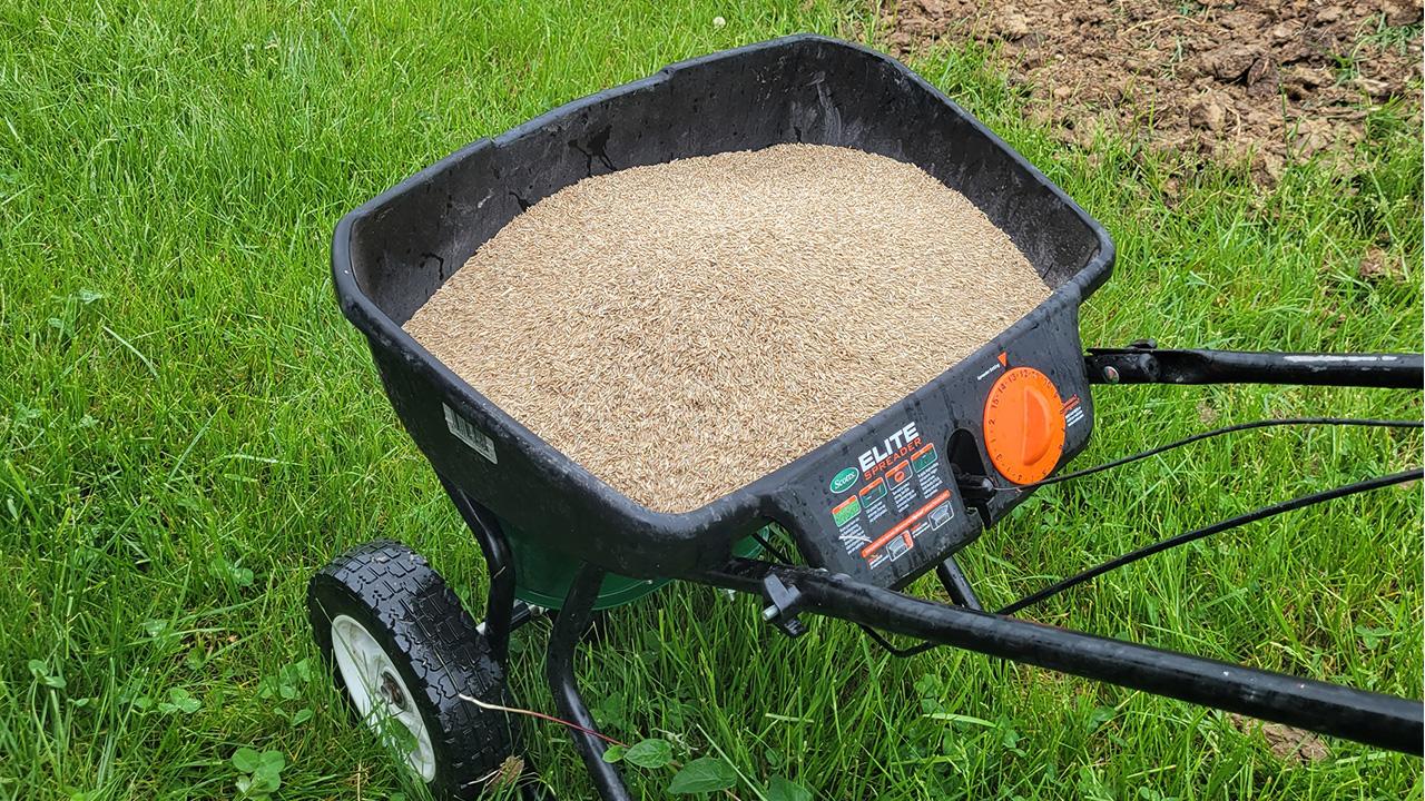 The Best Grass Seed Install Service in Missouri's Heartland Mr. G's