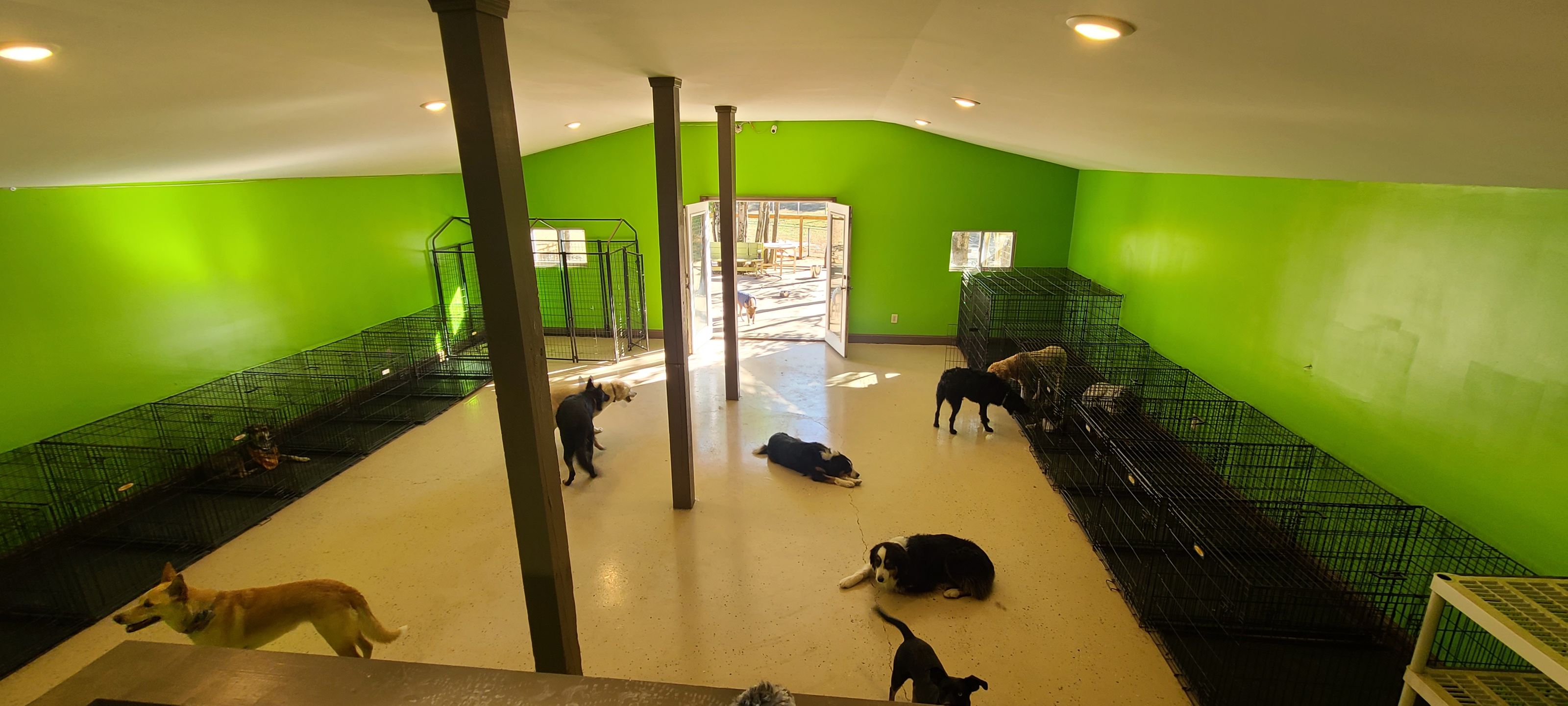 Chasing Tails Pet Farm Services