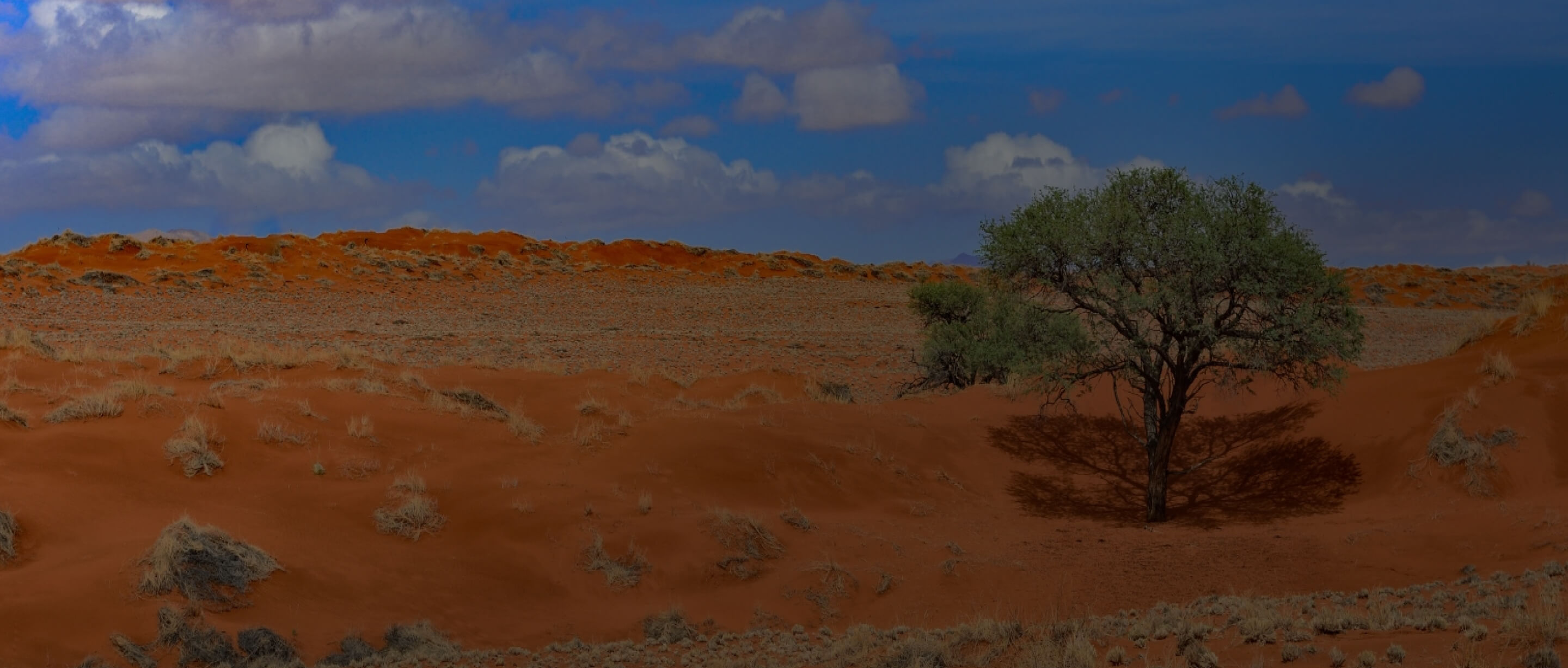 Madison West Madison Metals