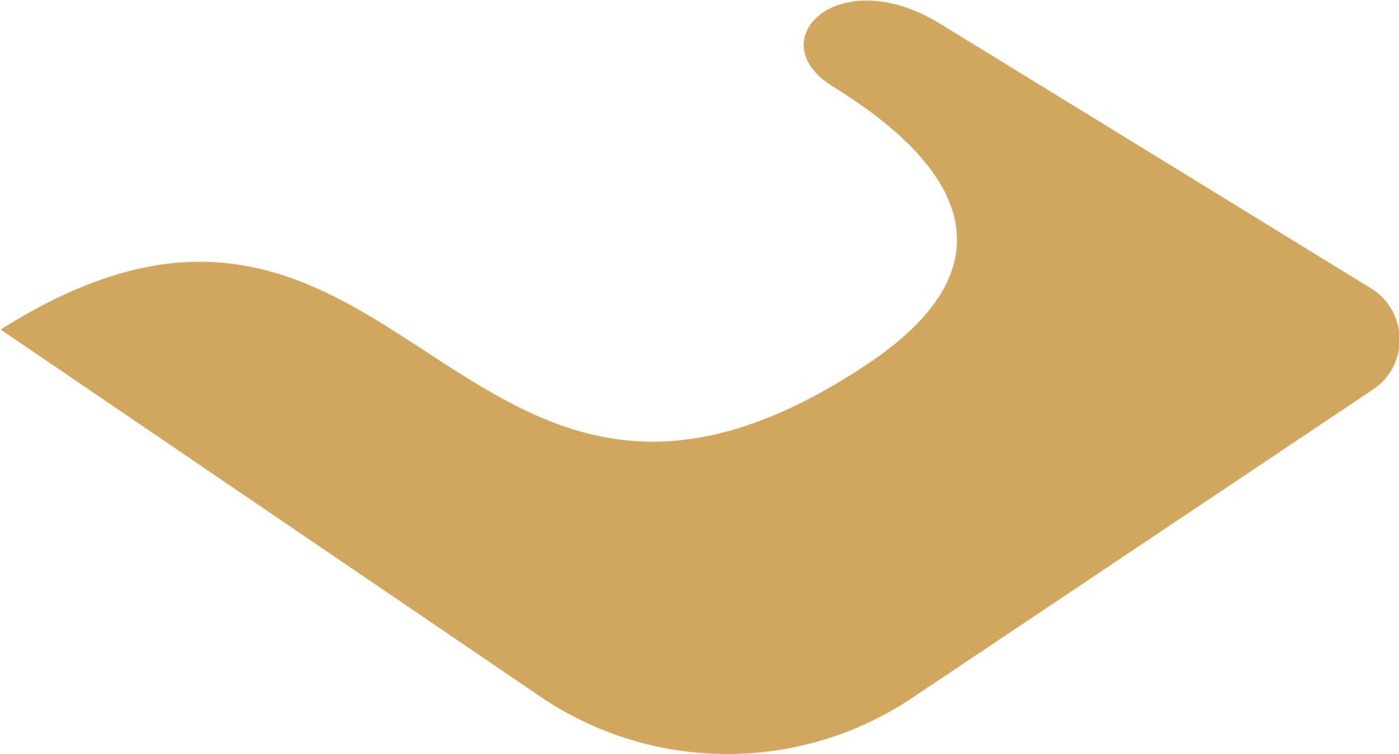 Payroll services that give you confidence