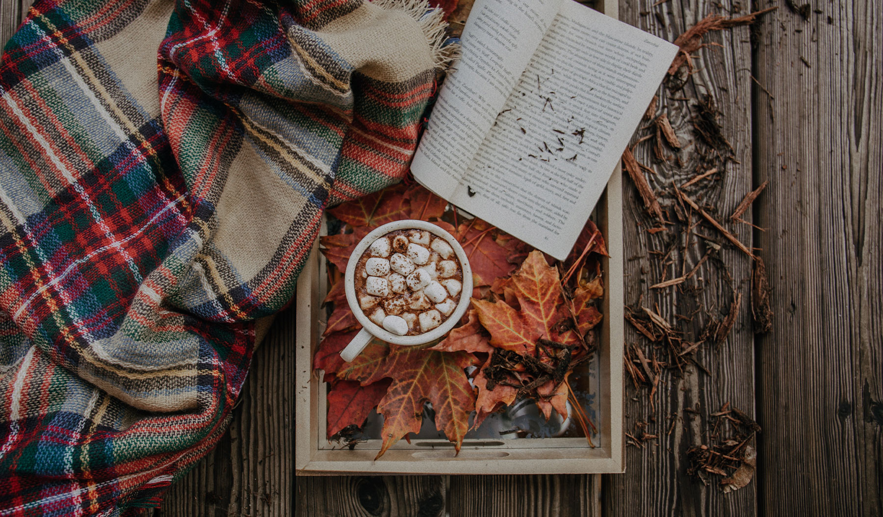 (Pumpkin) spice up your life this autumn with these fall drink recipes.