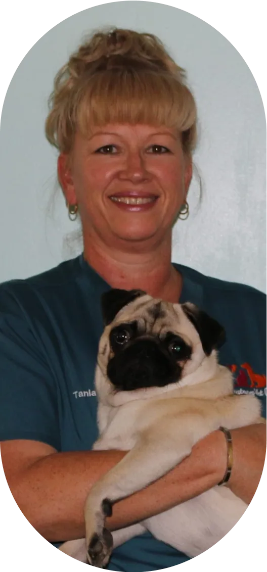 Team Greystanes Veterinary Clinic