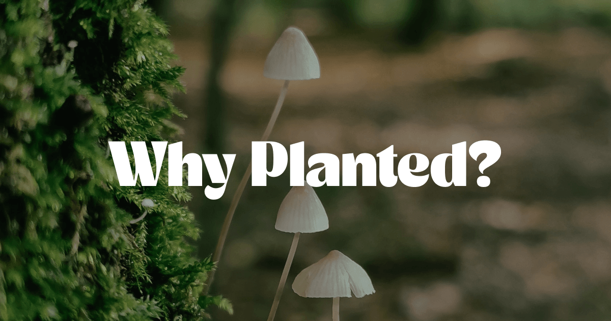 Planted I Nachhaltigkeit für Firmen. Warum Planted?