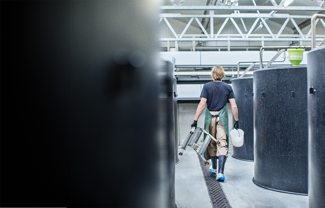 Løsninger For Landbasert Akvakultur