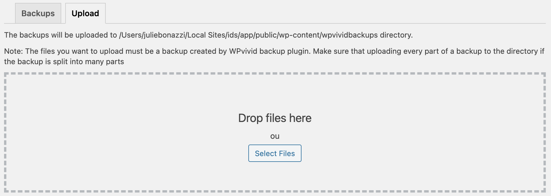 Plugin Wordpress WPvivid Backup upload