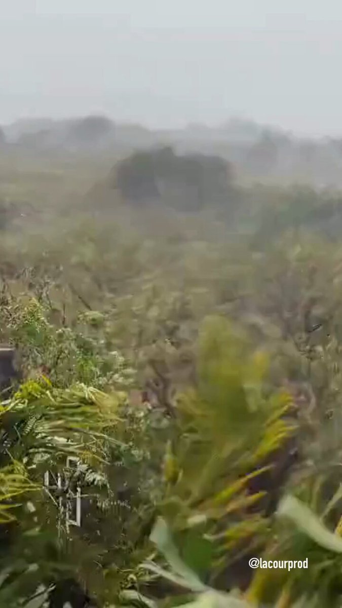 🇫🇷Les Réunionnais peuvent compter sur la pleine mobilisation de l'État à leurs côtés.
⚠️Des renforts de la Sécurité civile, des gendarmes et des agents Enedis seront déployés à La Réunion dans les heures à venir dès la réouverture de l'aéroport.
Nous sommes solidaires avec les… https://t.co/FdtZugcYmV