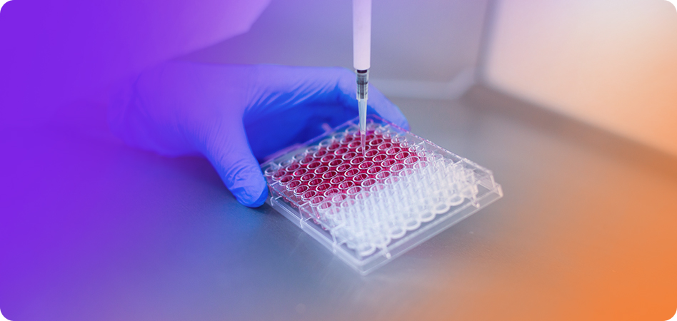 Guide to Digital Transformation