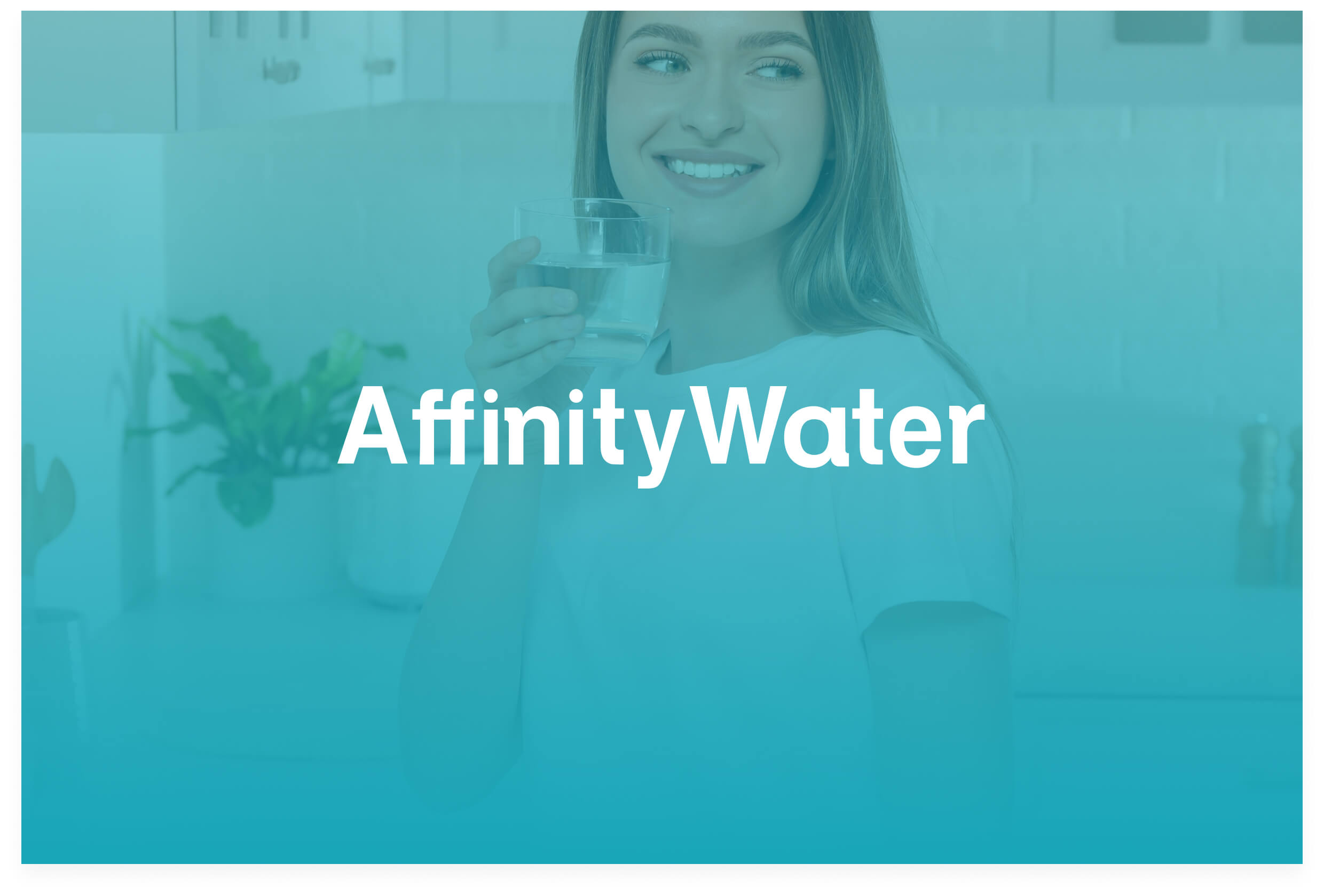 Drastical time saving of supplier reviews for a regulated national