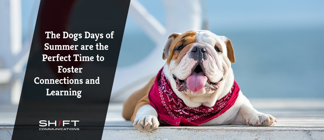 The Dogs Days of Summer are the Perfect Time to Foster Connections and ...