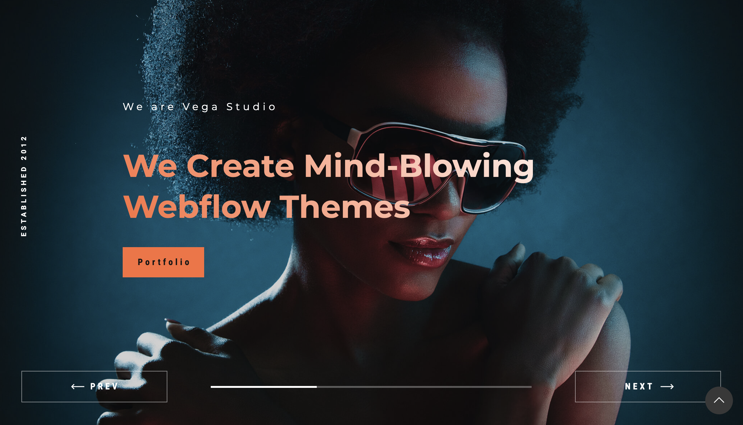 an Example Webflow Theme