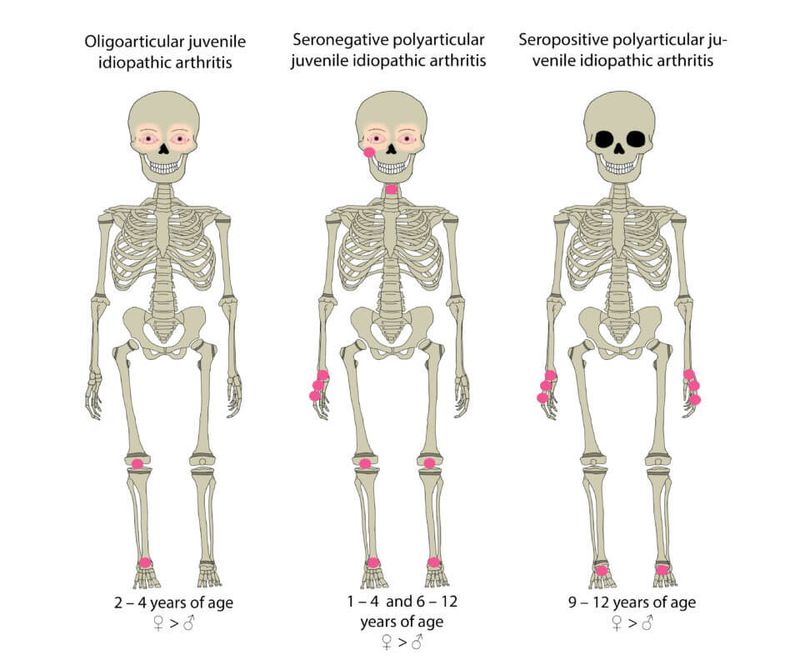 Score high on the NBME® Pediatrics Shelf exam with AMBOSS