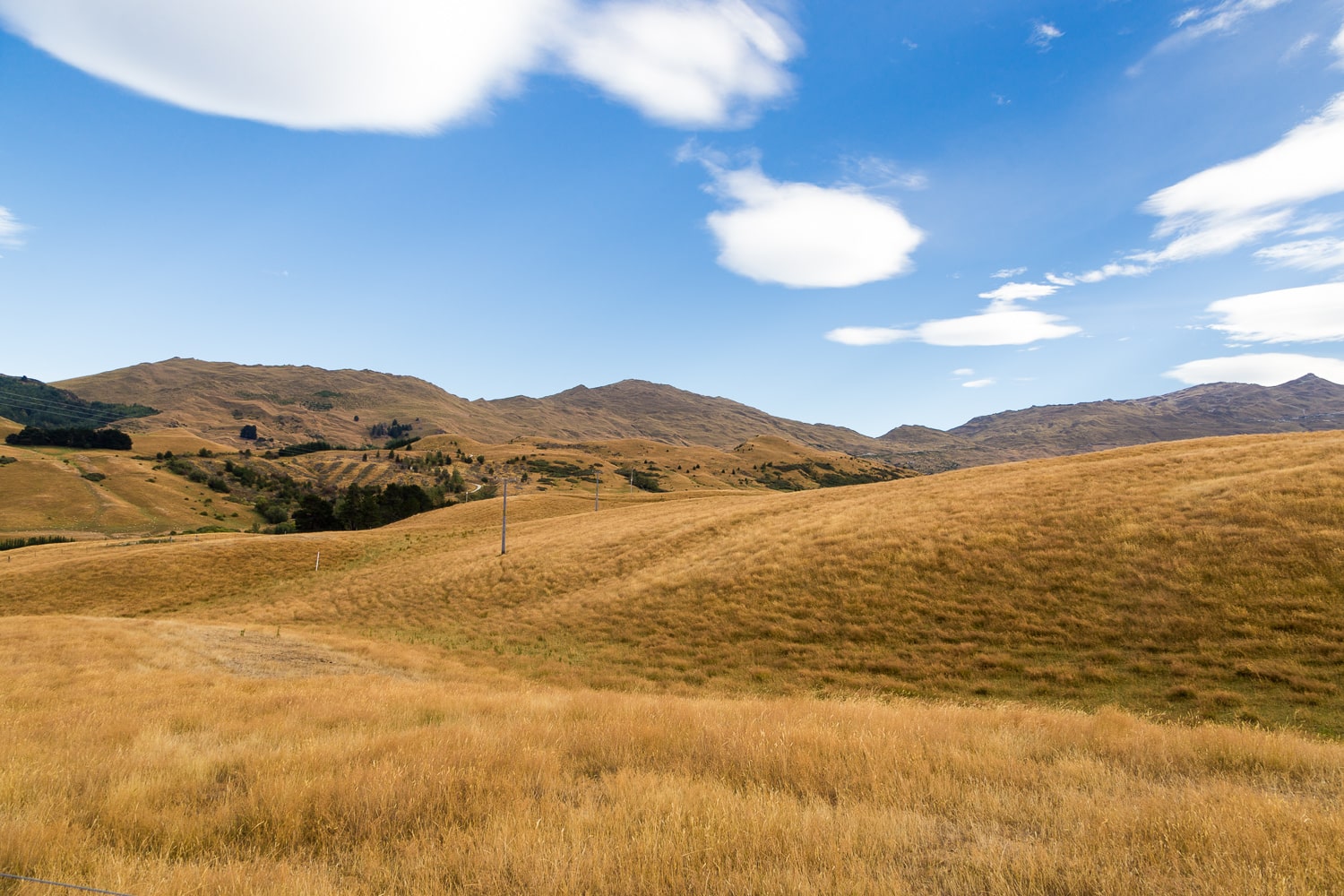 Exceptional Lifestyles Woodlot Properties Queenstown