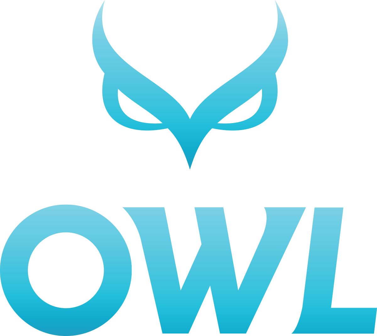 Technology OWL Sport