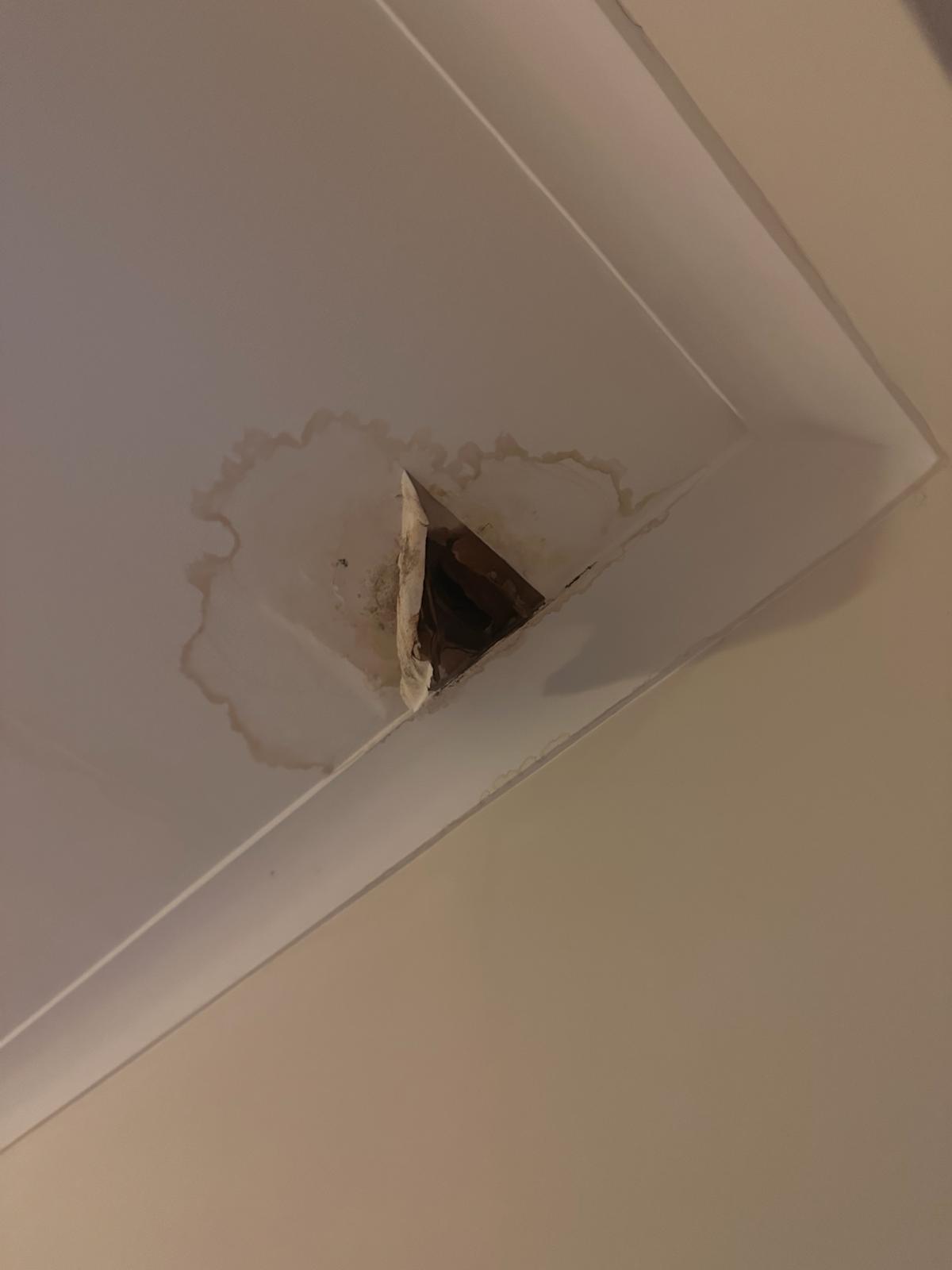 24/7 Emergency Leak Detection and Repair Services | Ropeguys"