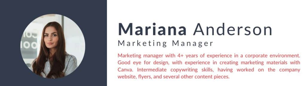 Efficient Executive Resume Summary - 65325b47fc53b335d2ee4673 Executive Summary For Resume 1 1024x289 