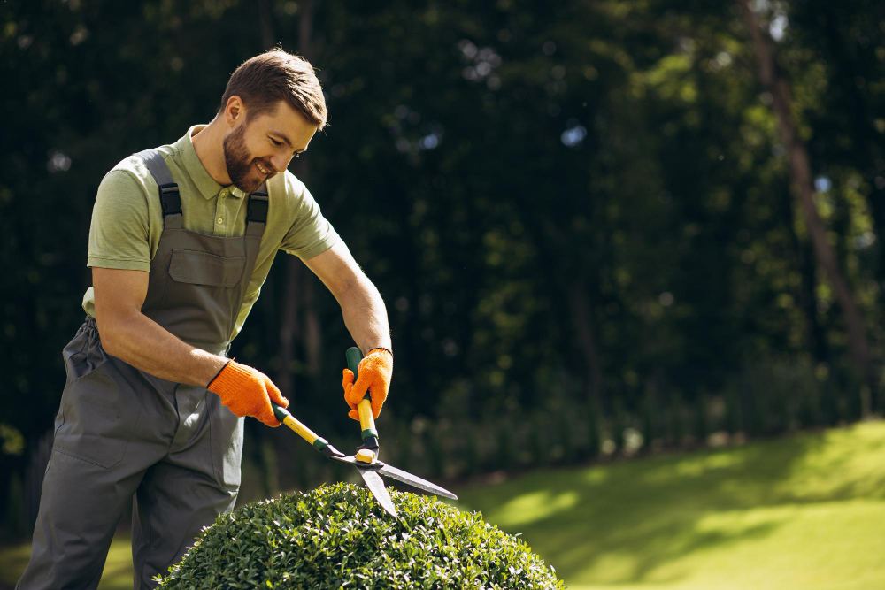 Landscaper Resume Comprehensive - 65802e9b1e8318870c93396e Landscaper Resume 5