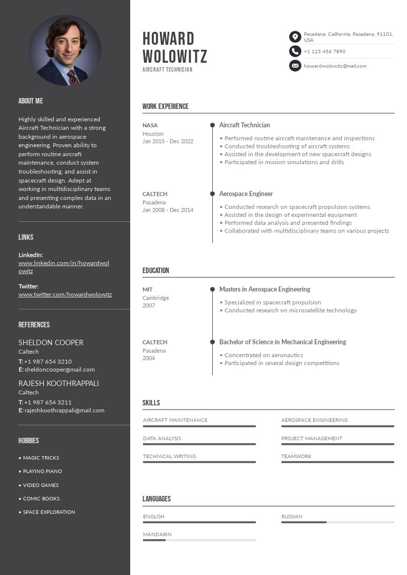 AIRCRAFT MAINTENANCE TECHNICIAN RESUME EXAMPLE intelligence overview