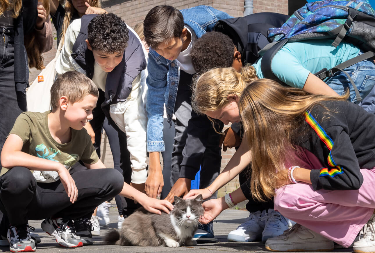 | De Ring van Putten