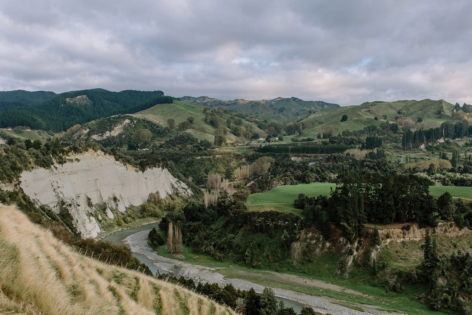 Our Identity Ngā Tuakiri - Whakauae Research Services