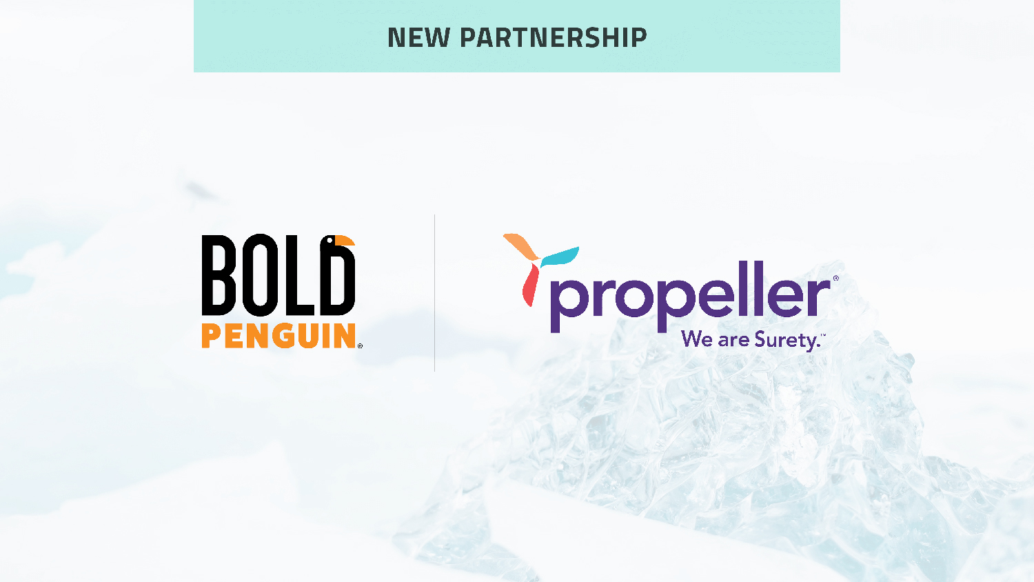 Propeller Surety Bonds now available in the Bold Penguin Terminal