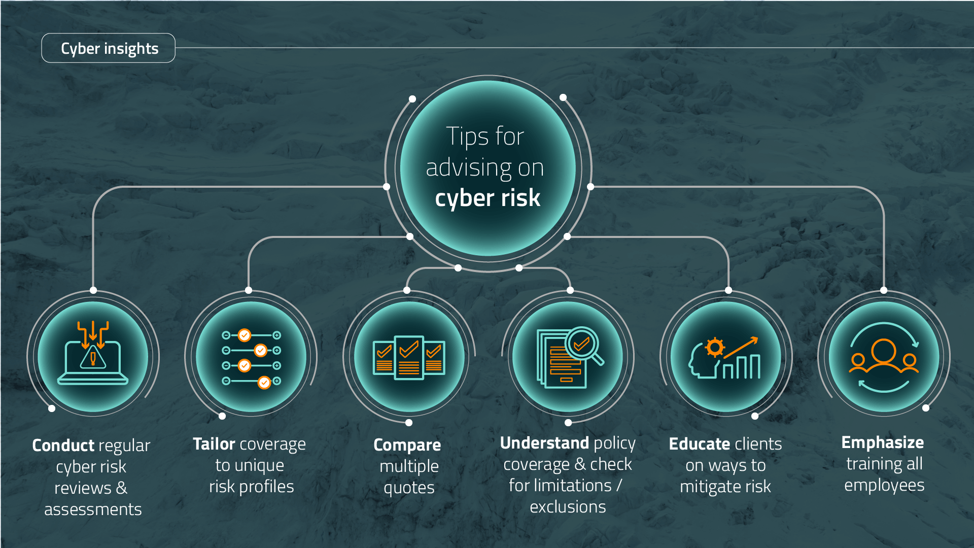 cyber risk management advisory tips