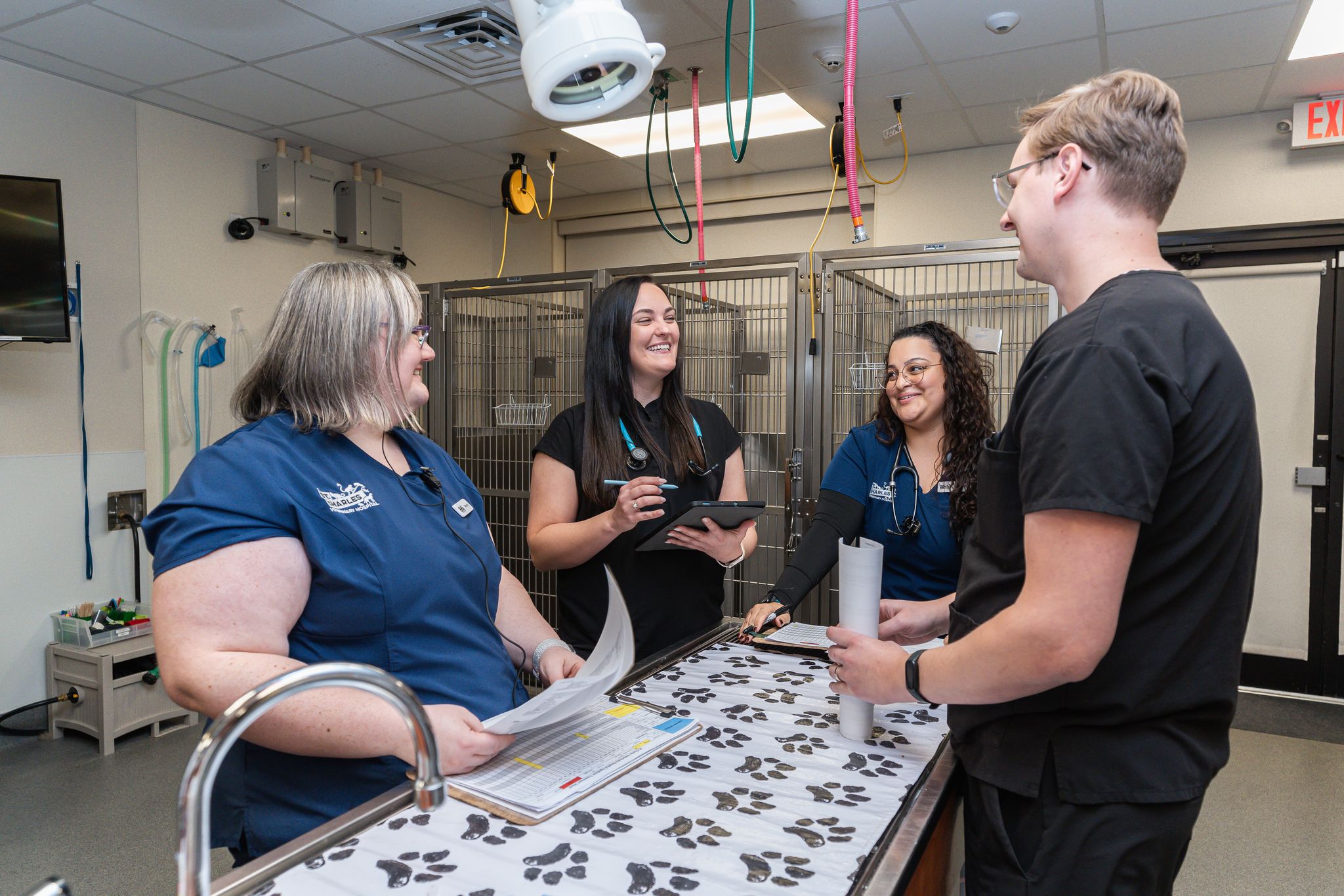 HighQuality Vet Hospital in Davenport, FL St. Charles Veterinary Hospital