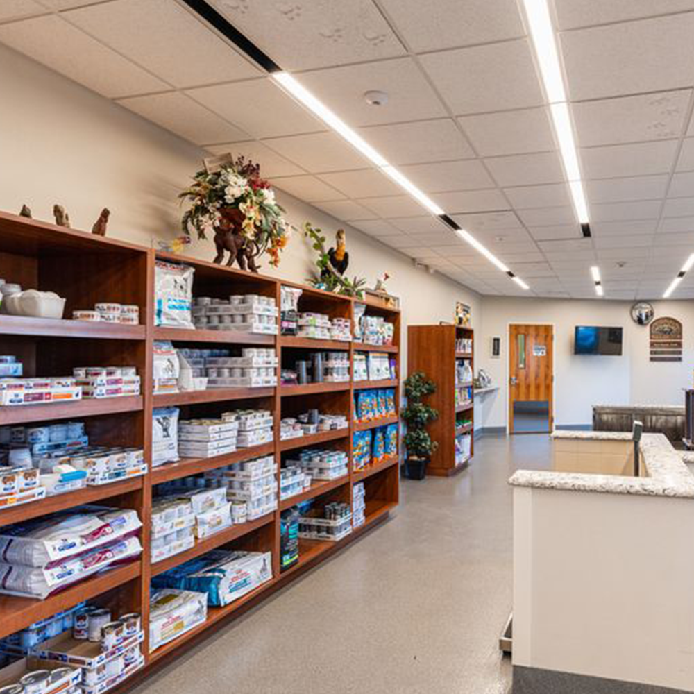 Clinic Photos Of Our Veterinary Clinic In Davenport, FL