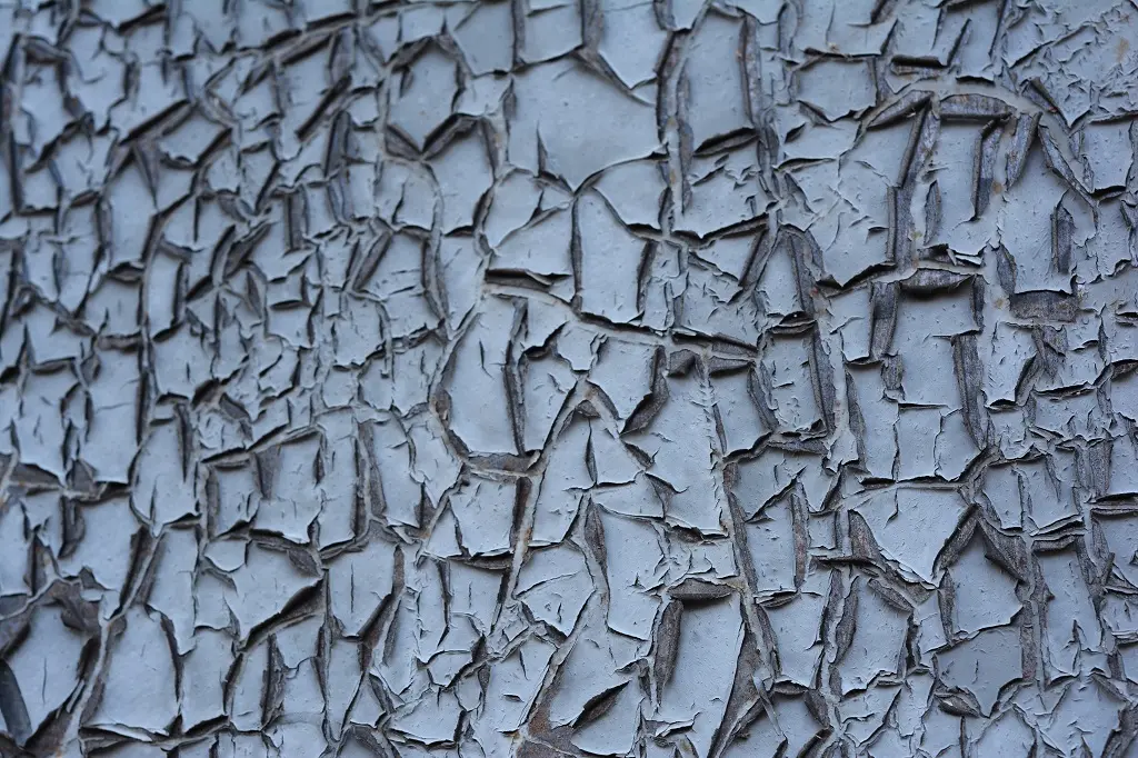 Why Does Paint Bubble, Crack & Peel? Exterior Paint Problems and How to
