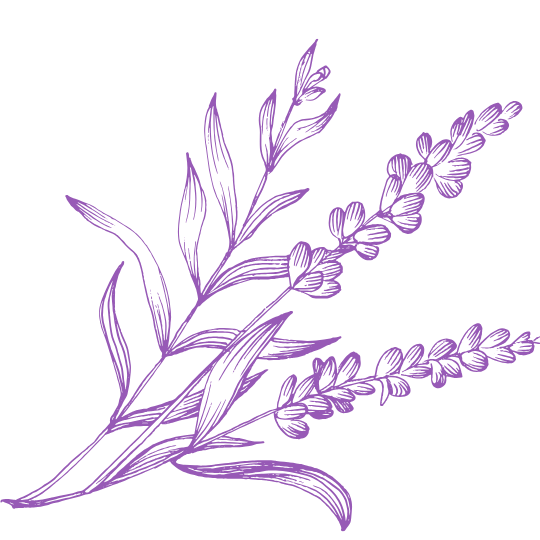 Gentle Living Healing Arts Center Home