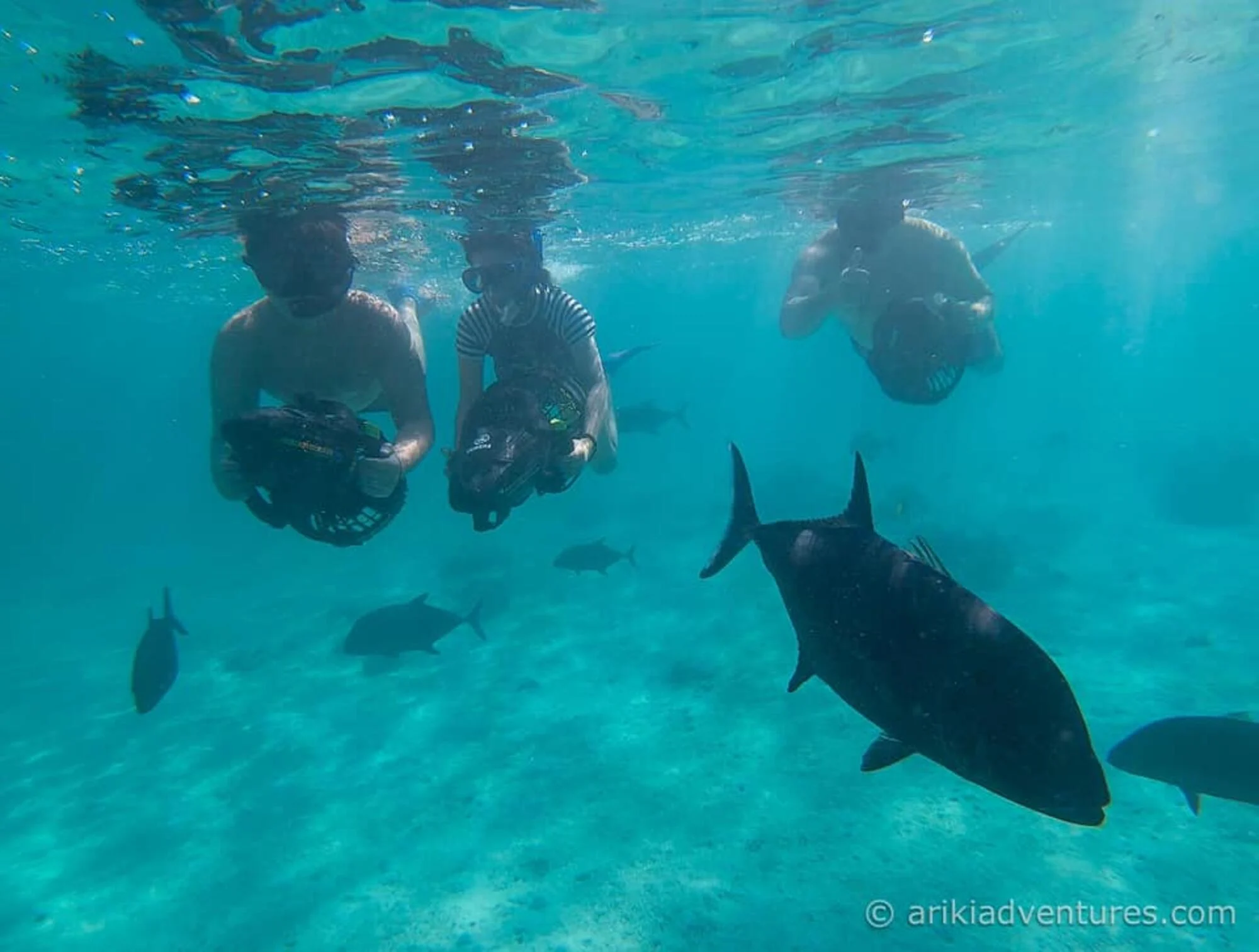 Rarotonga Lagoon Discovery Sea Scooter Safari with Ariki Adventures ...