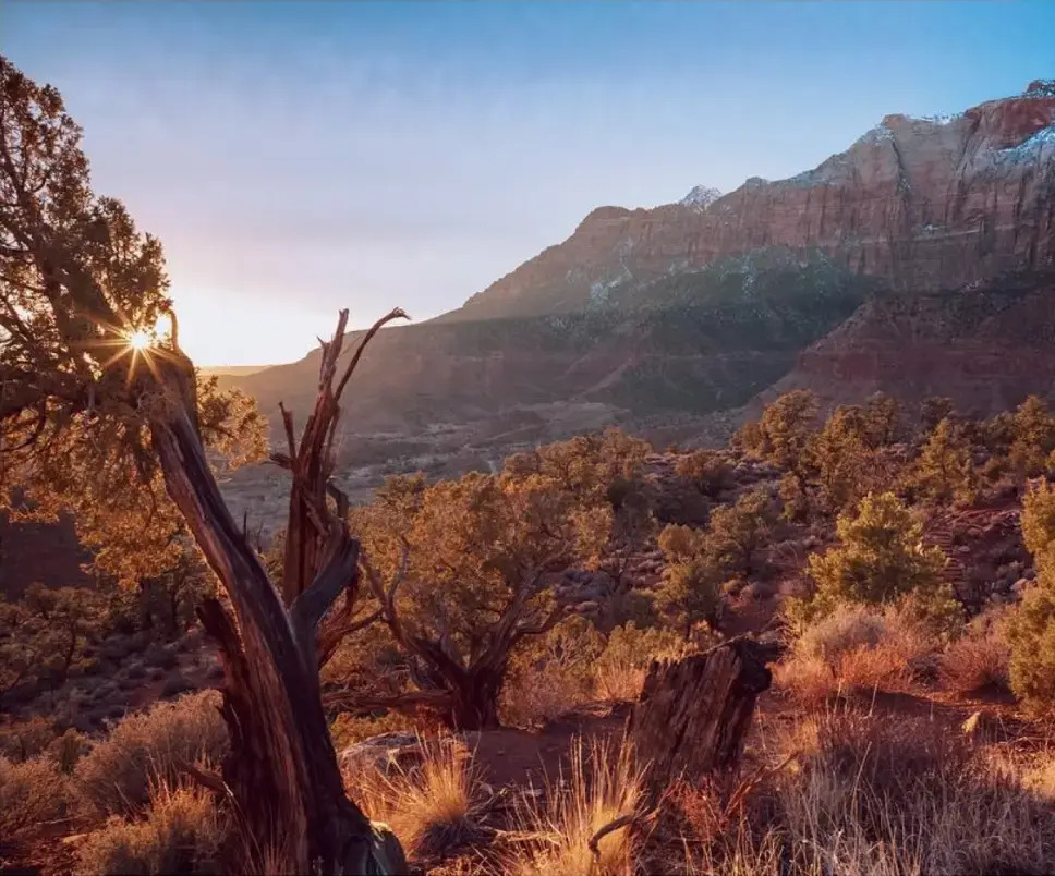 Câu chuyện ra đời của Font Inter. Kẻ huỷ diệt font chữ cho website