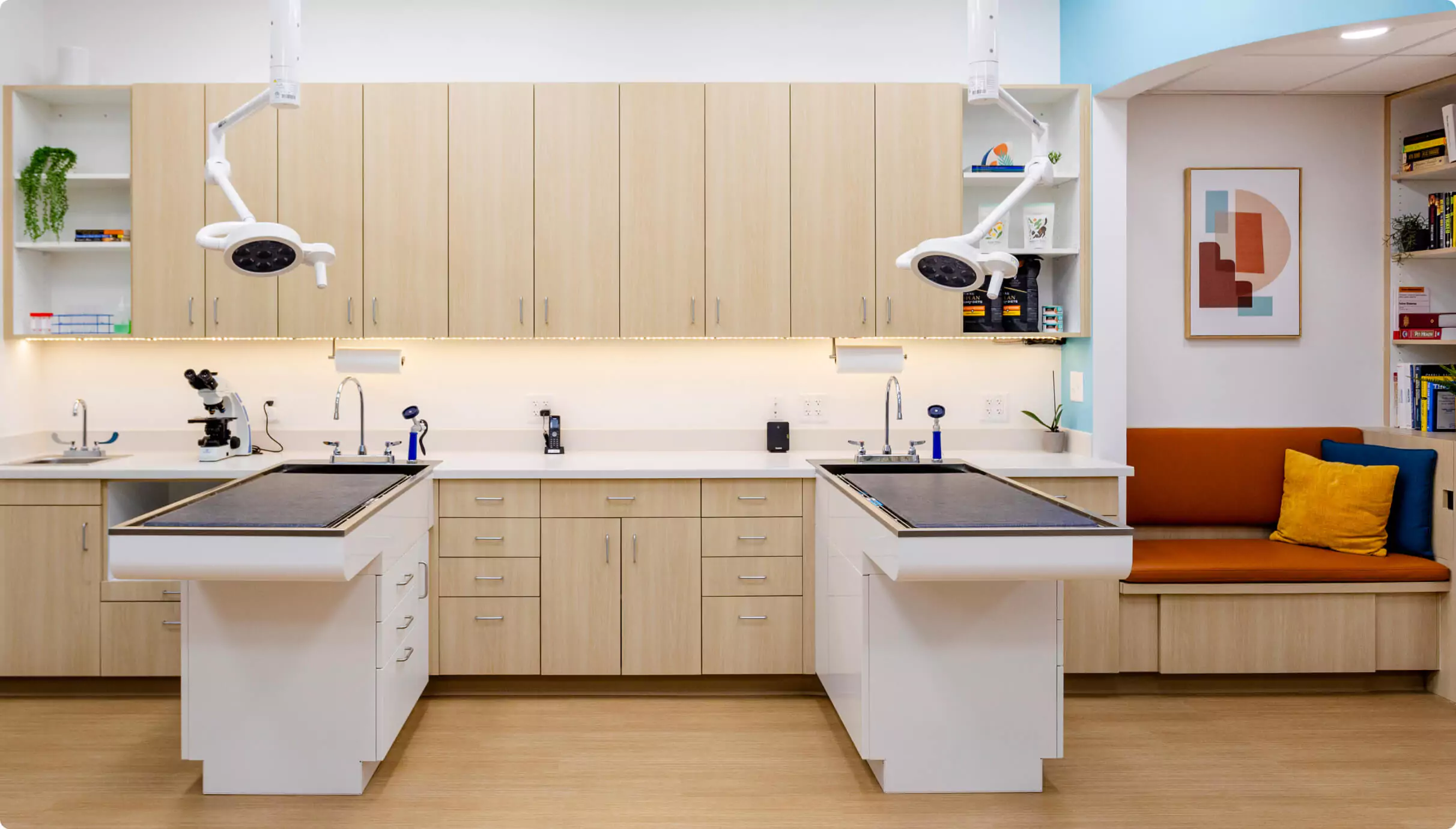 our-asheville-clinic-bright-vet