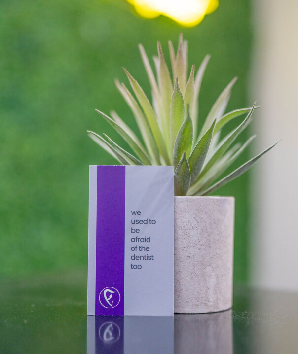 a small potted plant sitting on top of a table