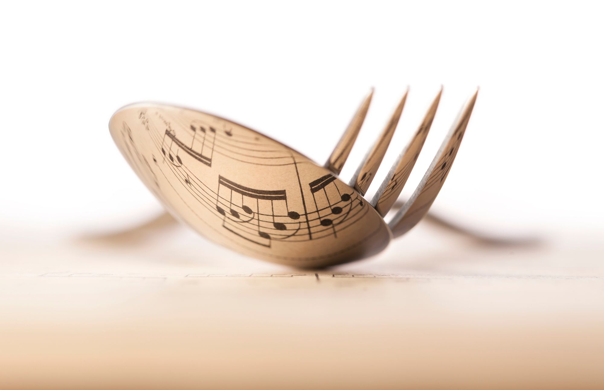 Aceso Nutrition Coaching and Education