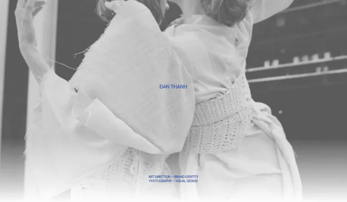 Preview of ddanthanh website